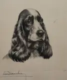 Head of a spaniel by Léon Danchin, etching, sold Mar 2018