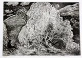 A collection of assorted etchings and printing plates by Edgar Holloway, print (other), sold Mar 2018