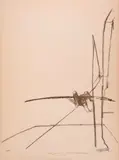 Funambule by Sam Szafran, Lithographie en noir, sold Mar 2019