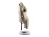 Untitled by Marmortorso einer Aphrodite, marble, sold Mar 2026