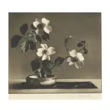 Floral Still Life by William Happich, Toned gelatin silver print, sold Mar 2022