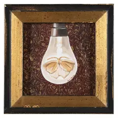 Moth by Amy Guidry, Acrylic on canvas, sold Mar 2022