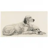 Two Resting Setters by Léon Danchin, Engraving, sold Mar 2022