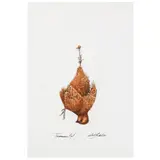 Tennessee Red by Bob Timberlake, Original watercolor on paper, sold Mar 2022