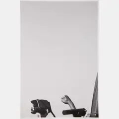 An Ironic Form, 2008, Inkjet print on archival by Edgar Arceneaux, ink and Hahnemuhle photo rag paper, offered Sep 2016