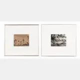 Untitled Silver gelatin print Matting by Jill Sands, photograph, offered Sep 2015
