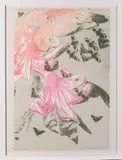 Wunderbare/Sonderbare, 2011, Photo- by Taryn McMahon, lithograph, offered May 2015