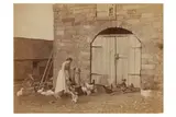 Untitled by Francis Meadow Sutcliffe, photograph, offered Oct 2020