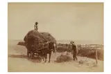 Untitled by Francis Meadow Sutcliffe, photograph, offered Oct 2020