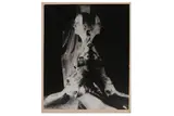 Untitled by Cecil Beaton, print, offered Oct 2020