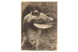 Untitled by Hermann Fischer, print, offered Oct 2020