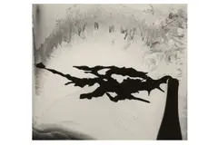Untitled by Minor White, Silver gelatin print, offered Oct 2020