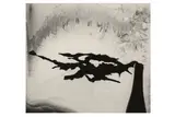 Untitled by Minor White, Silver gelatin print, offered Oct 2020