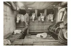 Untitled by Herbert Ponting, print, offered Oct 2020