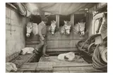 Untitled by Herbert Ponting, print, offered Oct 2020