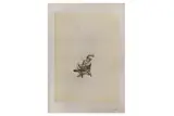 Untitled by Adam Batchelor, Giclée Print of Illustration, offered Oct 2020