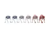 Untitled by Nick Veasey, print, offered Oct 2020