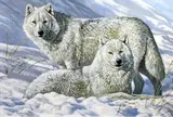 Lords of the Arctic' signed, inscribed verso 20 x 29.5in by Stephen Gayford, oil on canvas board, sold Mar 2018