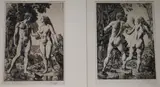 Untitled by Charles Frederick Tunnicliffe, pencil, sold Dec 2017