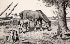 EtchingDaisy and her foalsigned by Stanley Anderson, etching, sold Nov 2017
