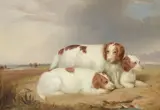 A portrait of three Red and White Spaniels by William R. Robinson, oil on canvas, offered Jan 2012