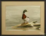 of a Mallard drake by Ron Jenkins, watercolor, offered Sep 2015
