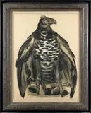 Aigle aux ailes légèrement déployées by Paul Jouve, Fusain sur papier bistre, sold Dec 2009