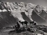 Jeune chevrier dans un alpage by Pierre Tairraz, vers 1960, Tirage argentique portant cachet humide du photographe au dos, sold Dec 2021