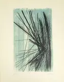 Sans Titre by Hans Hartung, Lithographie en couleurs sur vélin, sold Nov 2018