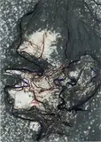 Goya série, N°77 by Arnulf Rainer, 1983, Technique mixte sur photographie, sold Oct 2018