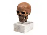 Untitled by Memento mori-Totenschädel, marble, offered Jul 2015