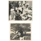 Tapestry of a Daydream and A Bride (Two Works) by David Bumbeck, Etchings, sold Feb 2022