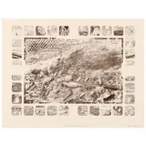 The Great Tufted Still Life by James McGarrell, Etching and aquatint, sold Feb 2022