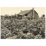Marion Junction, Alabama by Margaret Bourke-White, Warm-toned gelatin silver print, sold Dec 2021