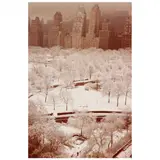White Trees, Central Park South by Ruth Orkin, 1958, Chromogenic print, sold Dec 2021
