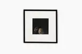 Untitled by Sachiko Cho, silver gelatin print, offered Sep 2026