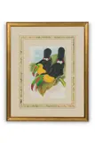 Untitled by John Gould, hand-colored Ornithology engraving, offered Jun 2026
