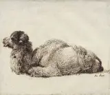 Dromadaire by Jean-Pierre Houël, Plume et encre brune, sold Mar 2026