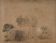 Etude de moutons by Jean-Pierre Houël, Crayon noir et craie blanche, sold Mar 2026