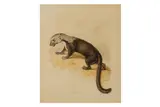 Untitled by William Samuel Howitt, ink and watercolour, offered Aug 2020