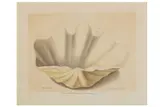 Untitled by Aloys Zötl, pencil and watercolour, offered Aug 2020