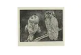 Untitled by Fernando Guibert, etching, offered Jul 2020