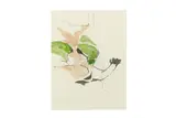 O.m. (1903–1980) by Graham Sutherland, ink and watercolour, offered Jul 2020