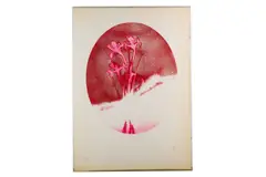 Untitled by Colin Self, etching, offered Jul 2020