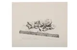 R.a. (1924-2005) by Eduardo Paolozi, lithograph, offered Jul 2020