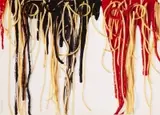 Spaghetti su tela by Armando Testa, Offset, unknown printer, sold Sep 2026