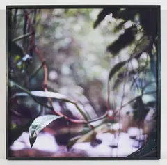 Ravine (from the Native series) by Mona Kuhn, 2009, chromogenic print, sold Sep 2023