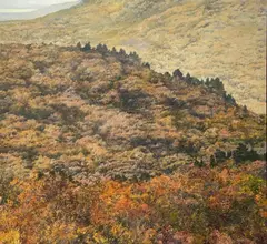 Off Little Tonche by Douglas James Maguire, 1992, oil on linen, sold Sep 2023