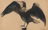 Cormoran by Philippe Albin de Buncey, Aquarelle, sold Jun 2018