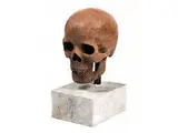 Untitled by Memento mori-Totenschädel, marble, sold Sep 2015